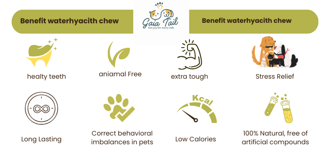 healty teeth (1)